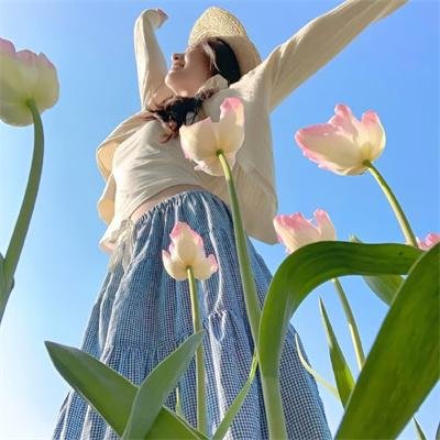 醉玲珑